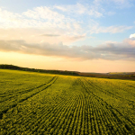 End‑of‑Summer Ranch Checklist: 5 Critical Steps to Prepare Your Land and Livestock for Autumn