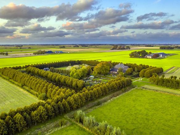 Agrarian Estate-Draft-Not For Sale
