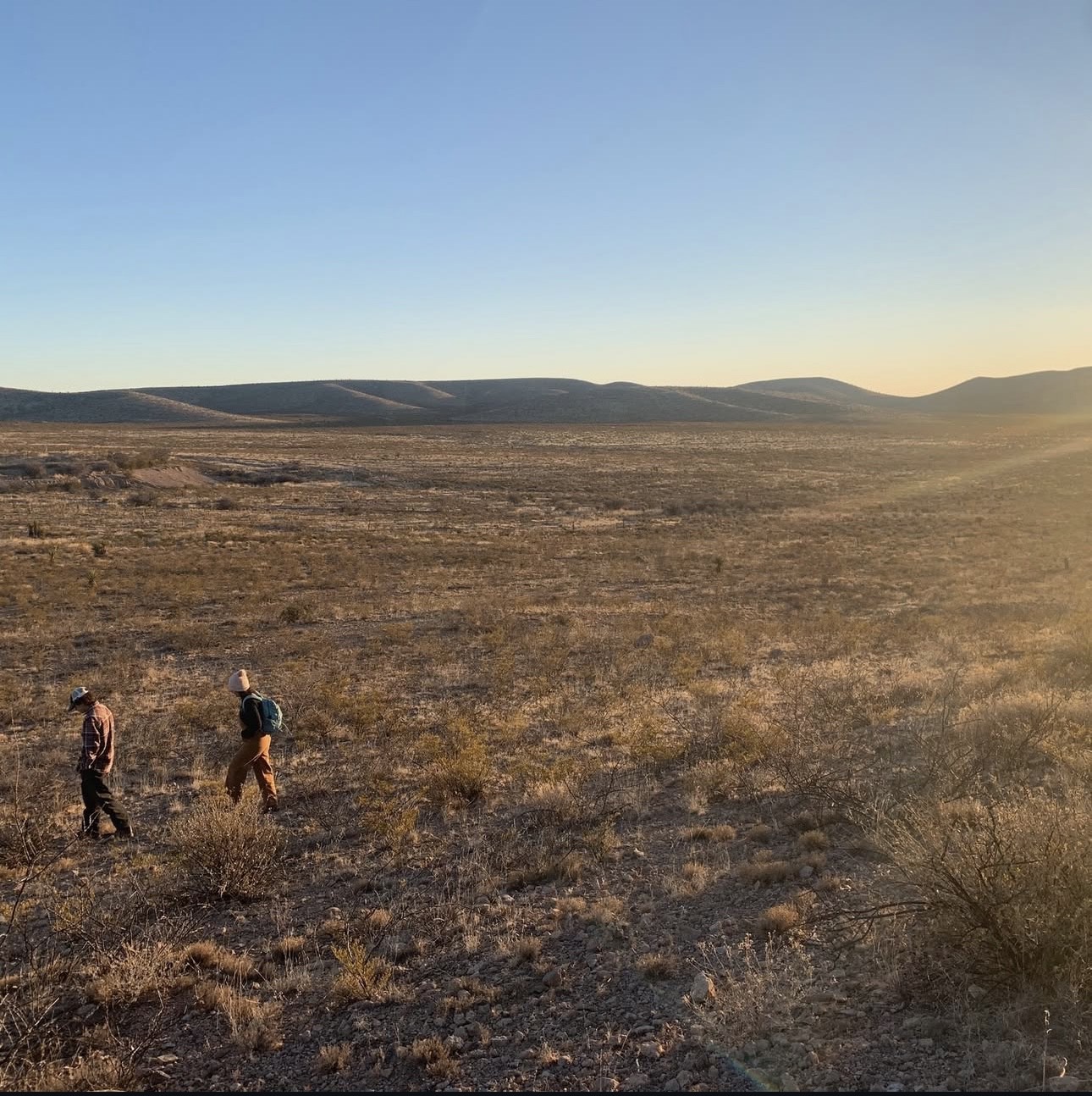 Property ID # 69528 (40 acres) & Property ID # 70303 (20 acres), Hudspeth County, Texas