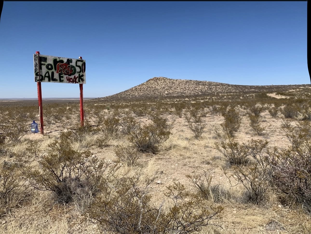 Property ID # 69528 (40 acres) & Property ID # 70303 (20 acres), Hudspeth County, Texas