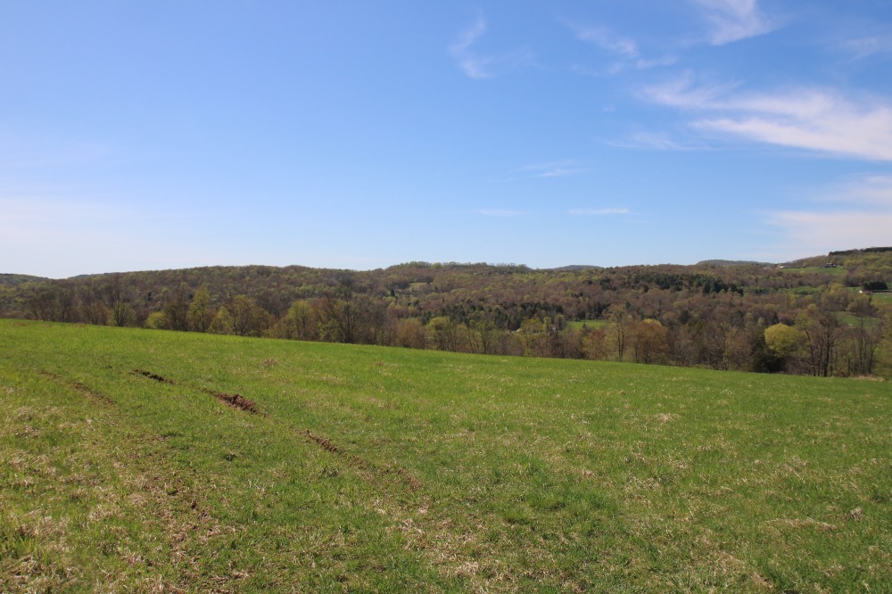 Hubert Road, Jeffersonville, New York, 12748