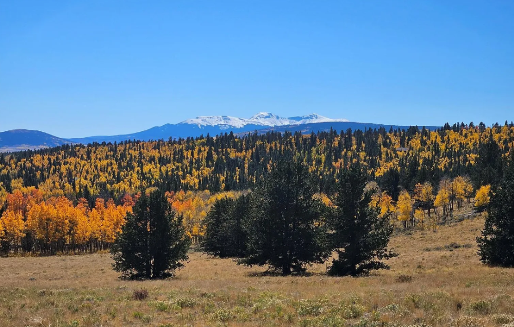 491 Abandoned Rail Rd, Fairplay, Colorado, 80440