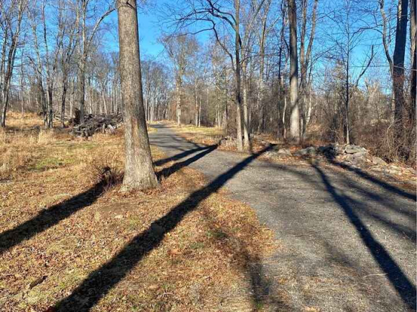 Kingwood Township, Frenchtown NJ