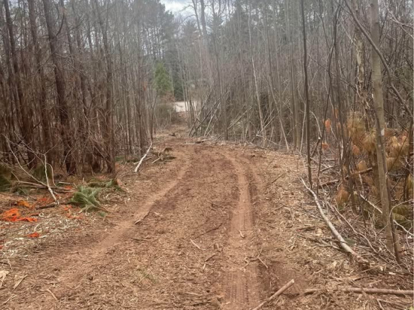 Jefferson Highway, Louisa Virginia